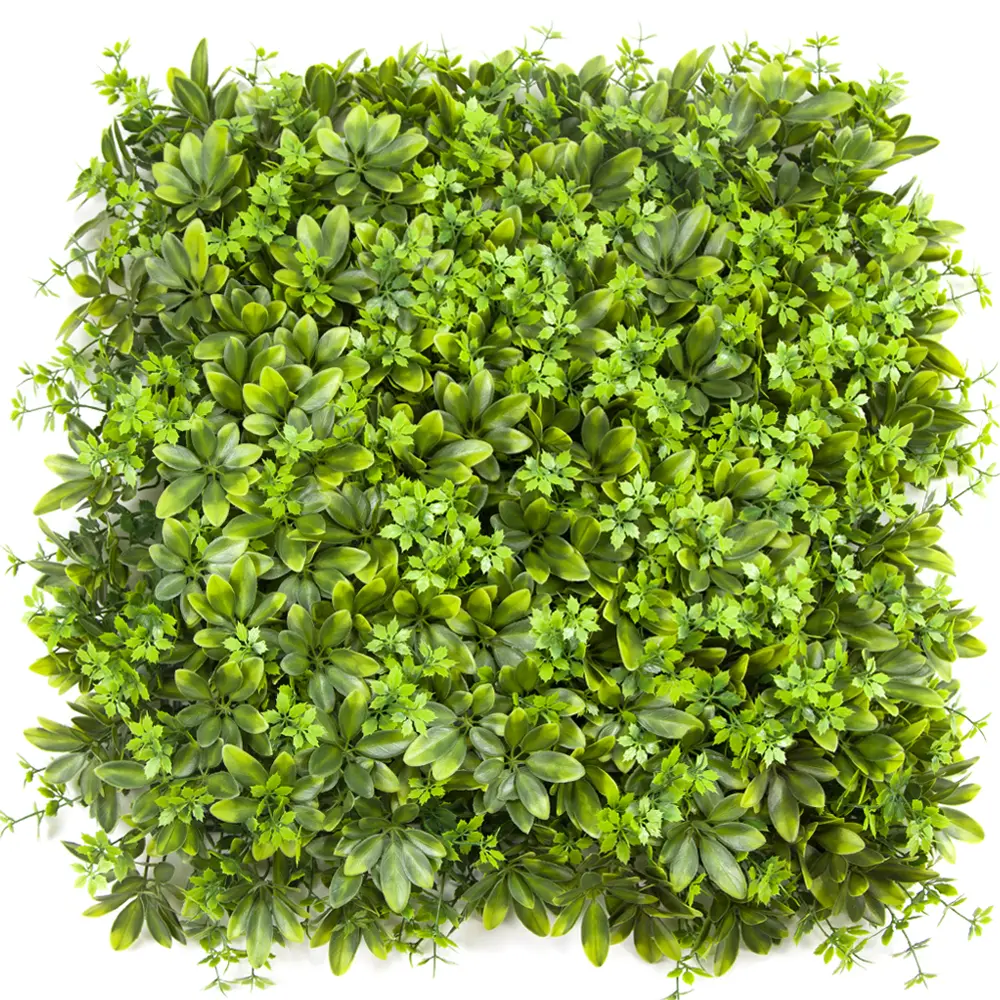 Artificial Boxwood Hedge Vertical Garden Plastic Plant Hedge Wall 50cm*50 cm &1M*1M Boxwood Hedge Panel Home Decoration Featured Image