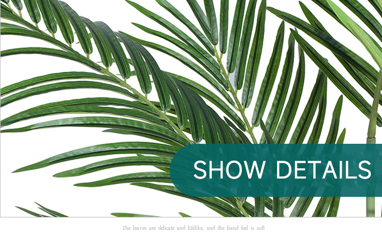 loose-tail-sunflower-4