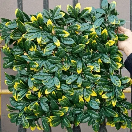 Artificial Moss Grass Wall - Artificial Hedge Plant, Greenery Panels Suitable For Both Outdoor Or Indoor Use, Garden, Backyard Andor Home Decorations – Deyuan detail pictures