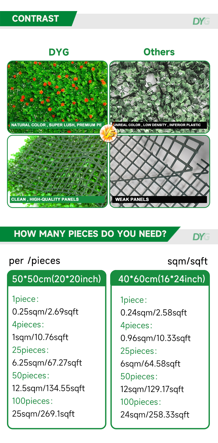 带花尤加利详情_06