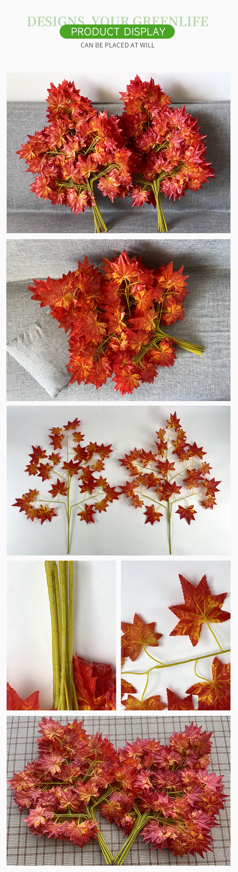 红色枫叶详情_05