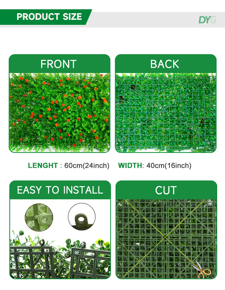 带花尤加利详情_03