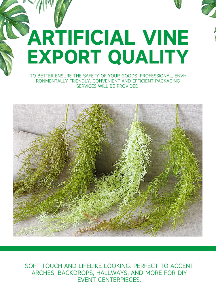 垂吊水藻叶详情_01