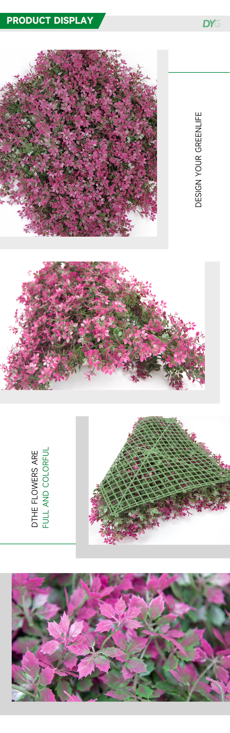 紫色枫叶详情_02