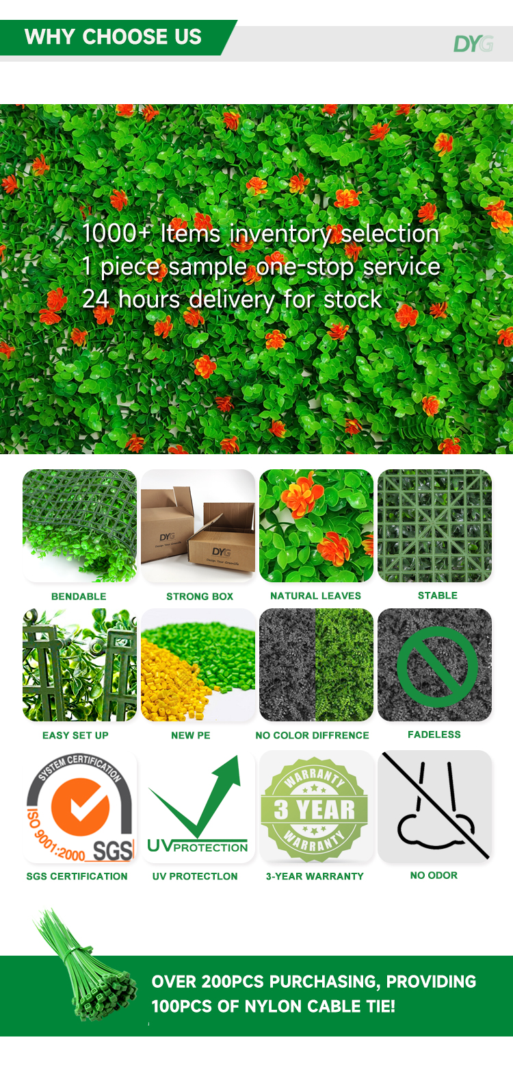 带花尤加利详情_04