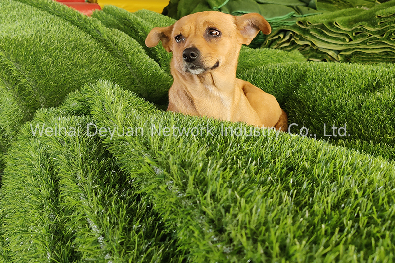 Pet-Safe Artificial Grass: The Best Options for Dog Owners in the UK