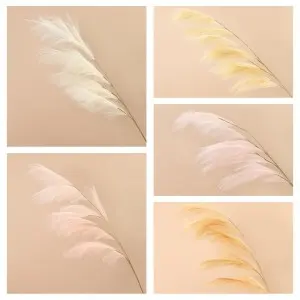 Wholesale pampas grass weddings home decor flower decorative flowers pampas pampa grass