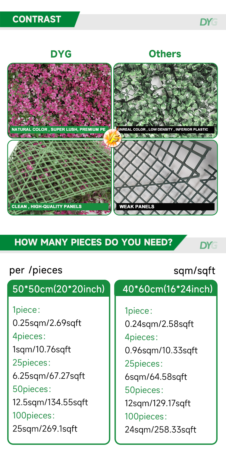 紫色枫叶详情_06