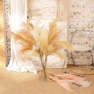 Wholesale pampas grass weddings home decor flower decorative flowers pampas pampa grass