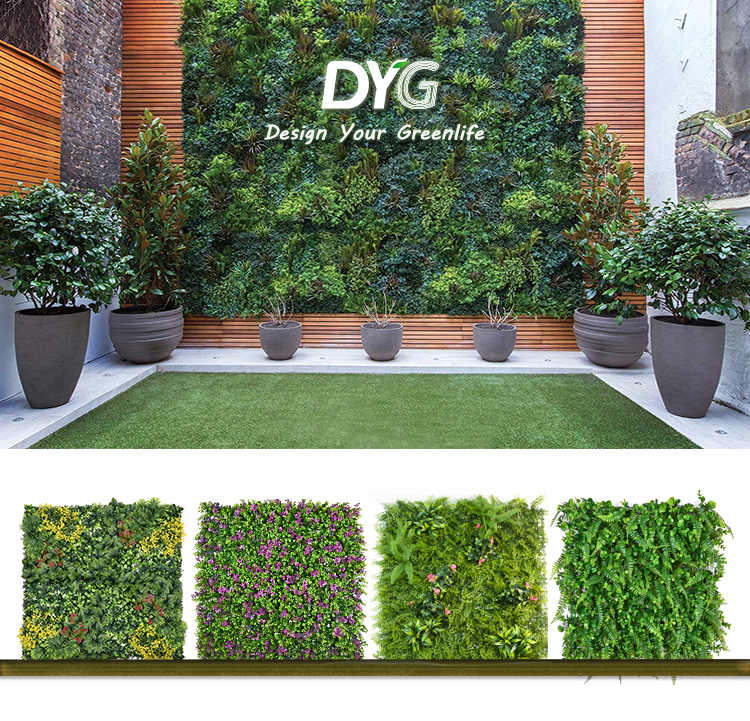 紫色枫叶详情_01