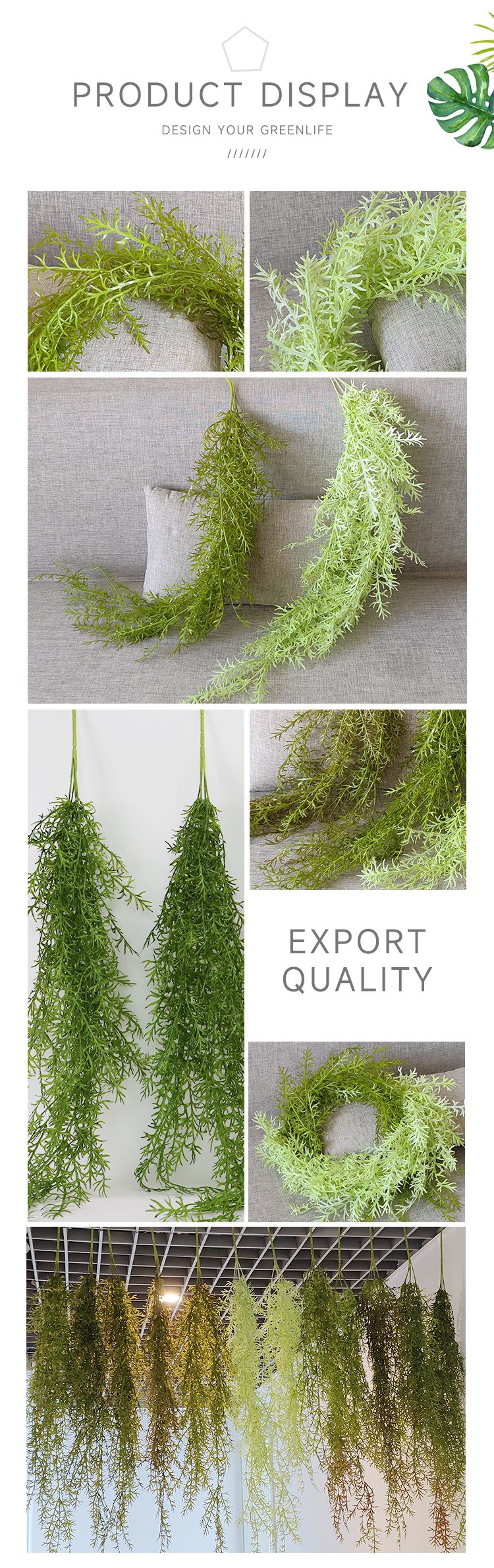 垂吊水藻叶详情_03