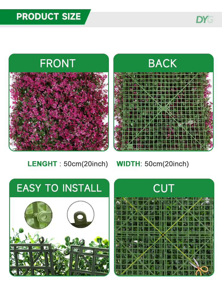 紫色枫叶详情_03