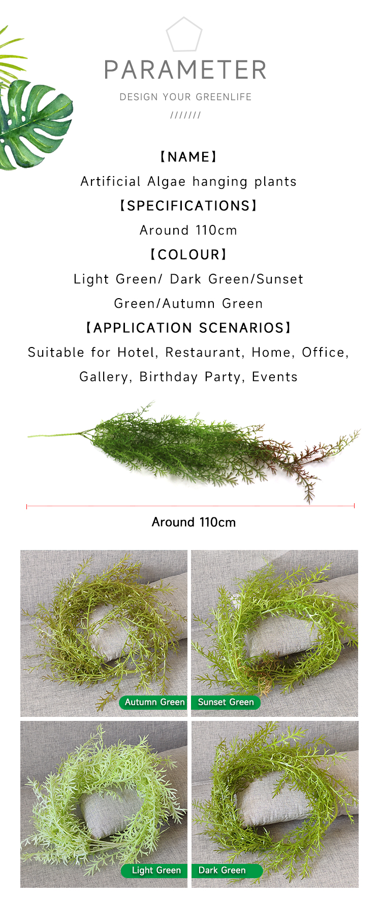 垂吊水藻叶详情_02