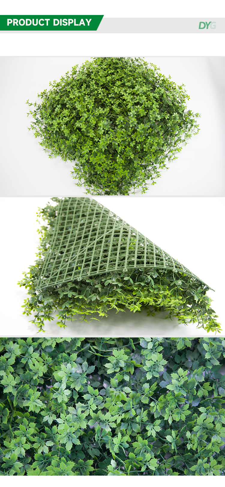 绿色枫叶详情_02