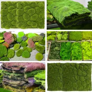 wholesale fake moss wall art sphagnum plant Preserved artificial moss wall panel green moss for home daily decoration