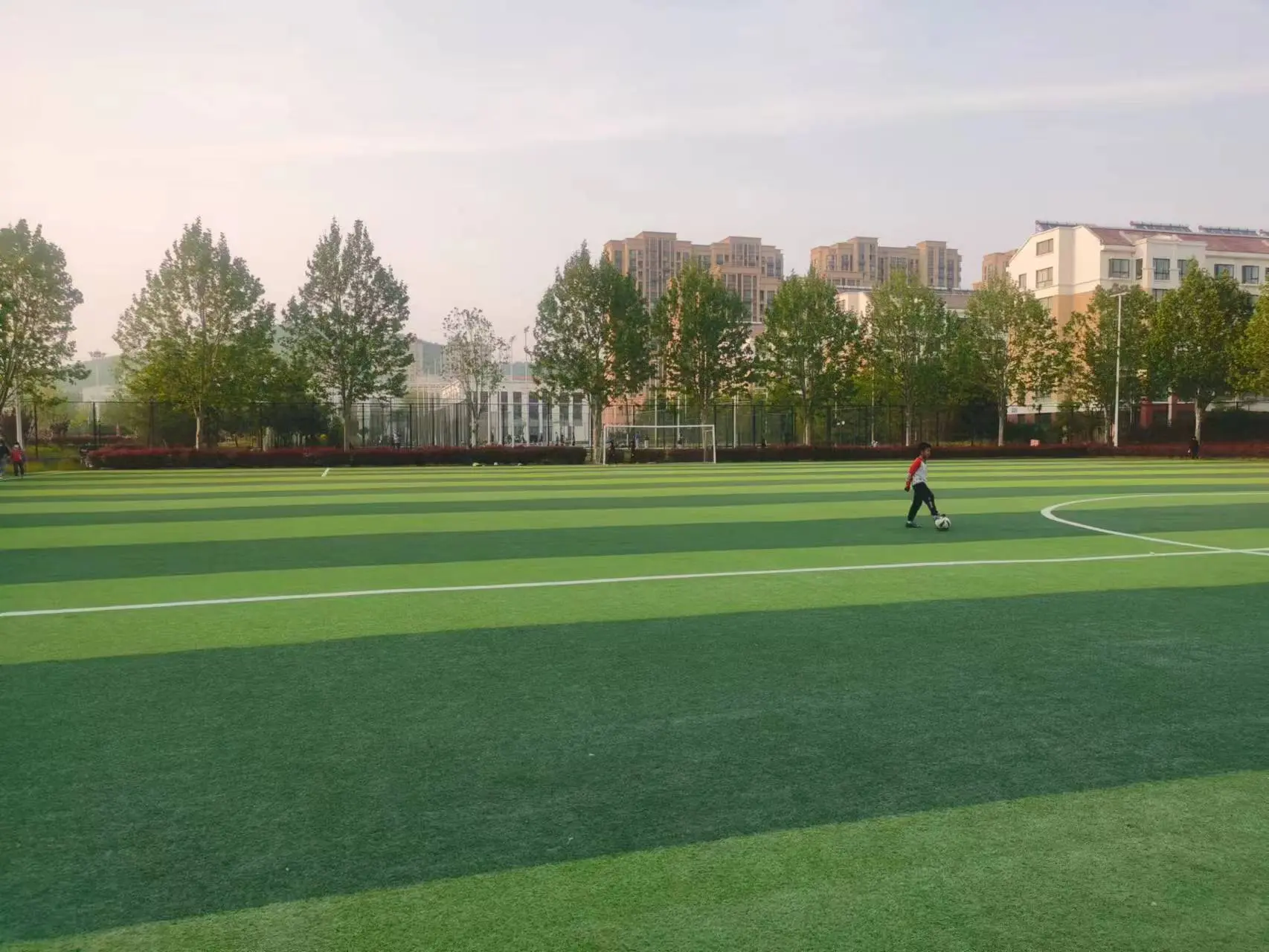 Maintenance of Artificial Lawn in Construction