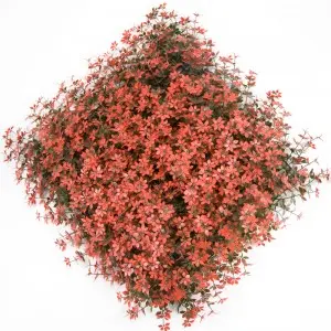 Uv Greenery Backdrop Wall Faux Eucalyptus Hedge Landscaping Artificial Boxwood Hedge wall of plants