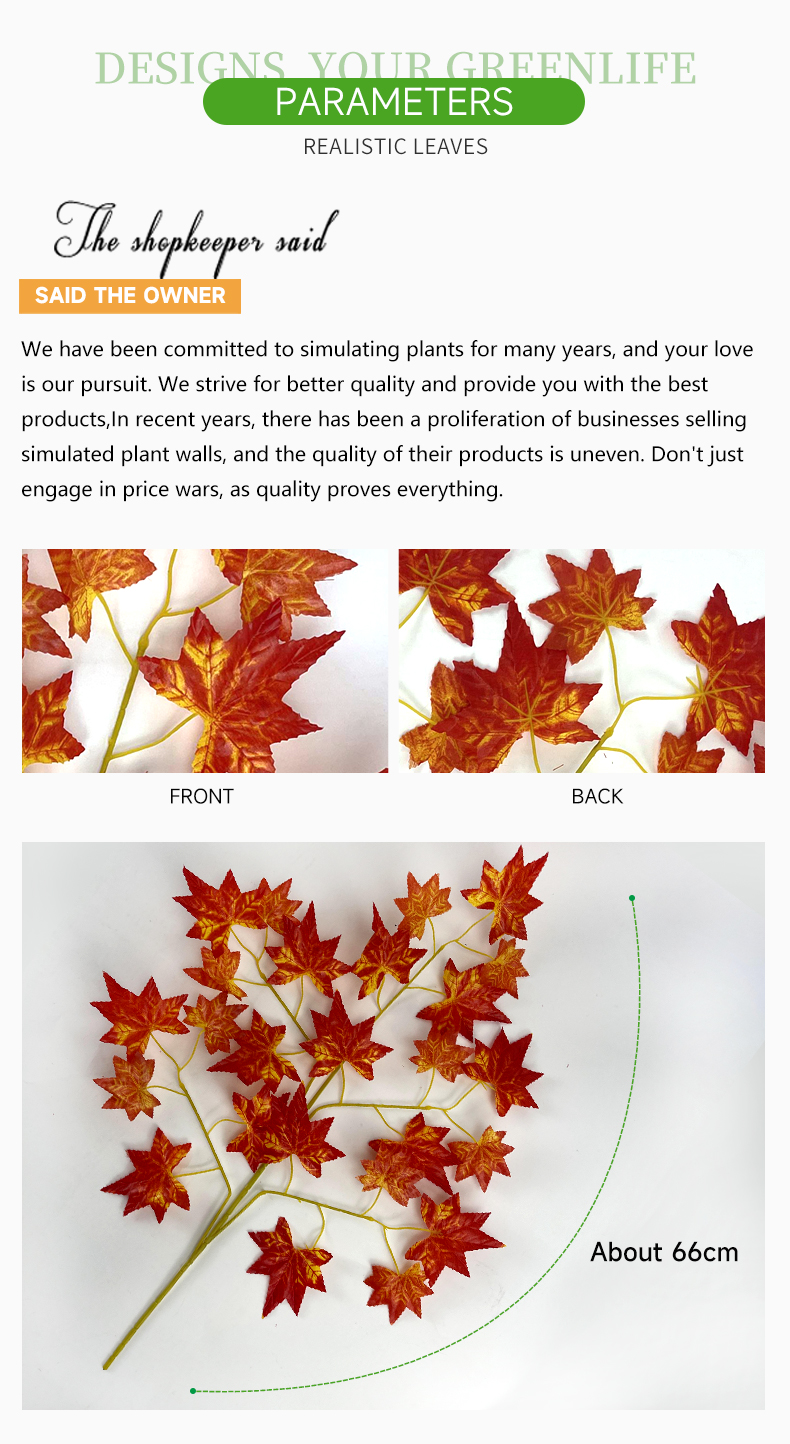 红色枫叶详情_02