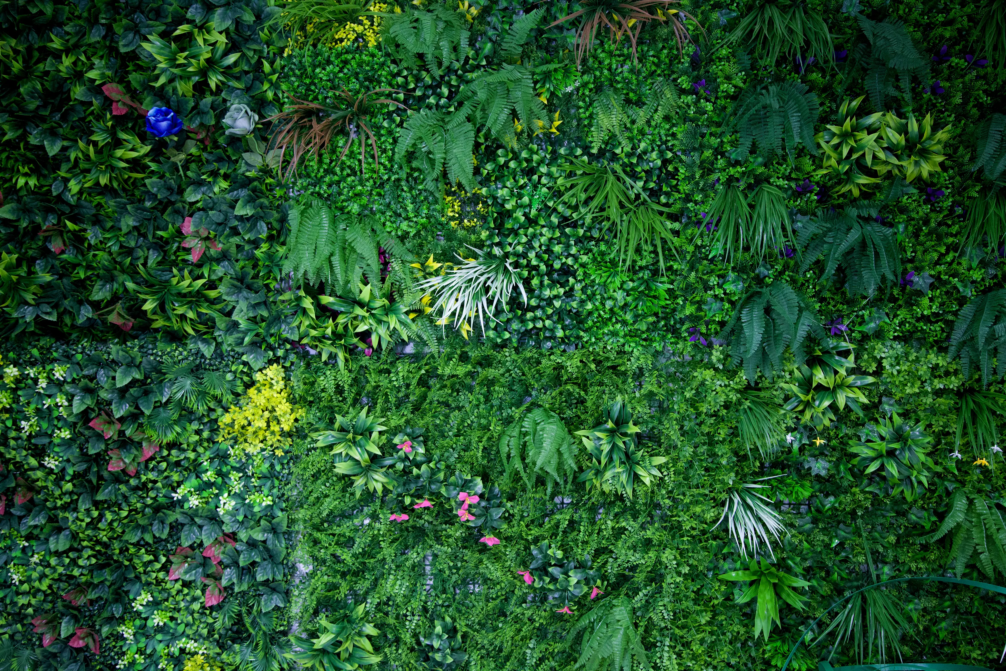 Simulated plants are works full of vitality