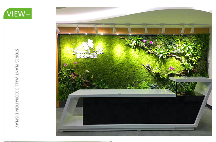 HEDGE-WALL1-(2).jpg2