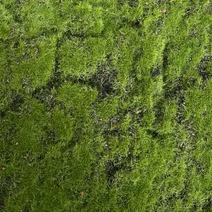 Decorative Artificial Moss Mat Green Moss Rug for Home Garden Wedding
