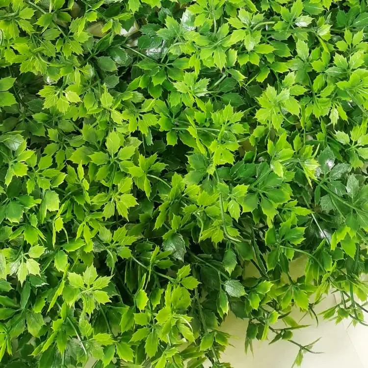 Cheap Artificial Grass - Artificial Greenery Boxwood, Privacy Fence Screen Faux Plant, UV Resistant Topiary Hedge – Deyuan detail pictures