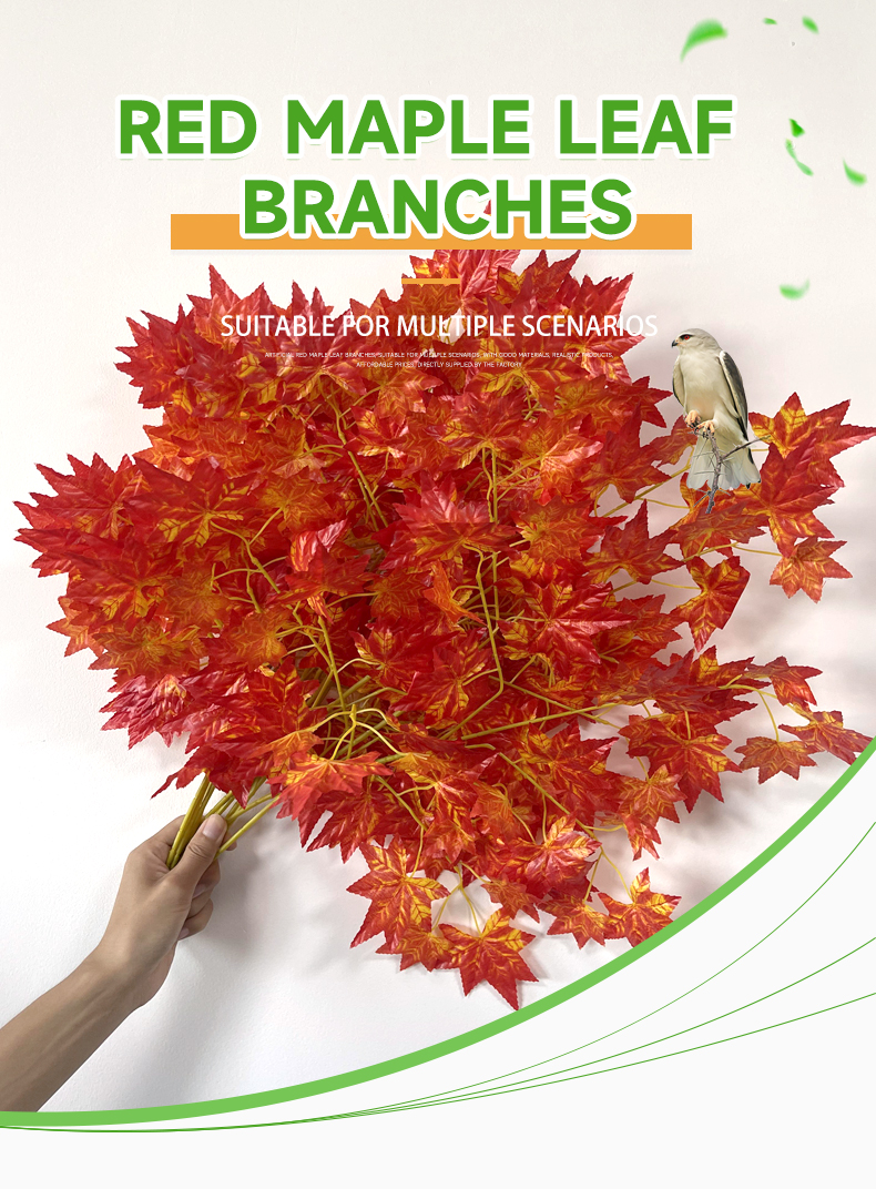 红色枫叶详情_01