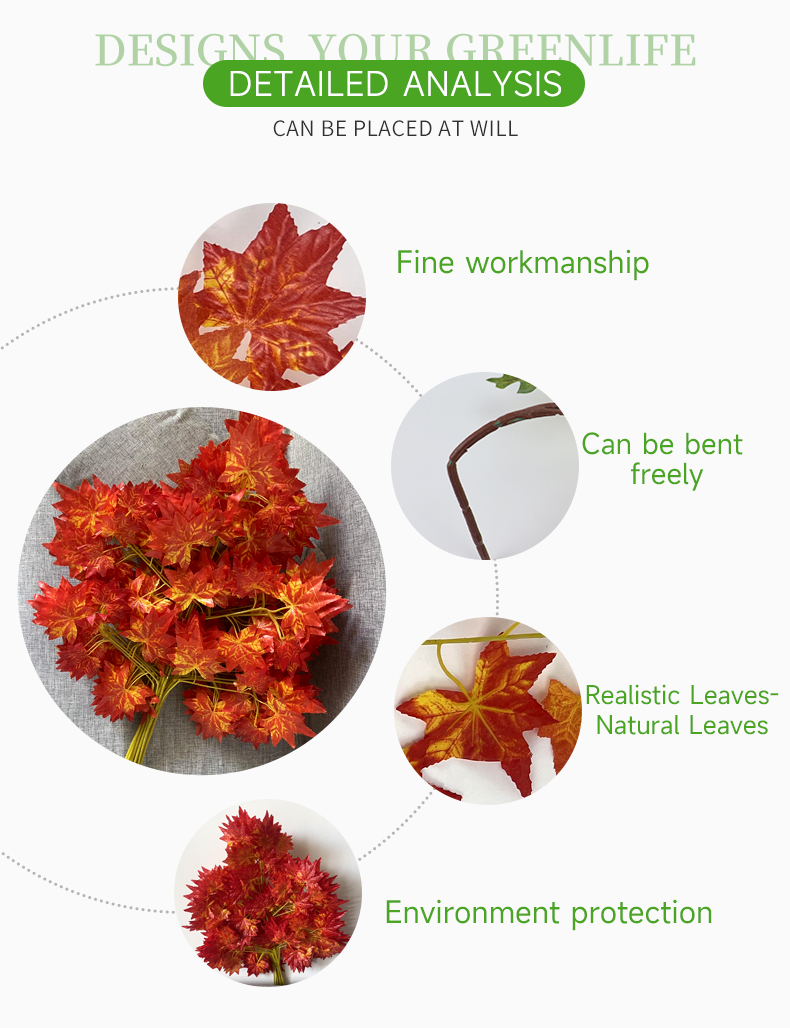 红色枫叶详情_03