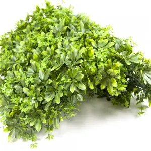 Artificial Boxwood Hedge Vertical Garden Plastic Plant Hedge Wall 50cm*50 cm &1M*1M Boxwood Hedge Panel Home Decoration