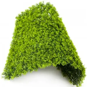 WHDY Customized artificial green wall panel boxwood foliage 50*50cm DIY for indoor outdoor decoration