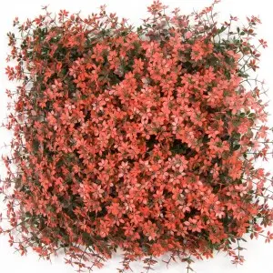 Uv Greenery Backdrop Wall Faux Eucalyptus Hedge Landscaping Artificial Boxwood Hedge wall of plants