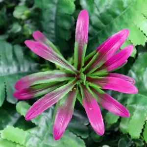 Artificial green plant artificial walls custom  and green flower wall artificial wall plant panel