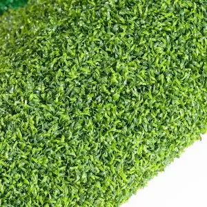 Outdoor Mini Golf Carpet Artificial Golf Grass Putting Green