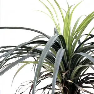 Realistic Yucca tree fake plastic tree artificial dracaena plant tree for home decoration