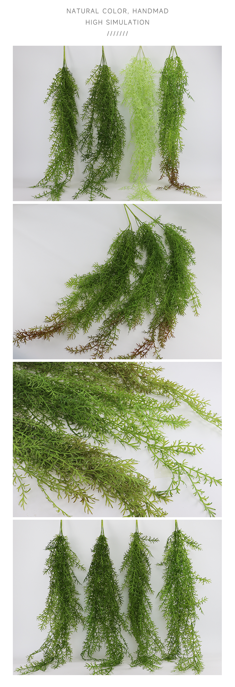 垂吊水藻叶详情_04